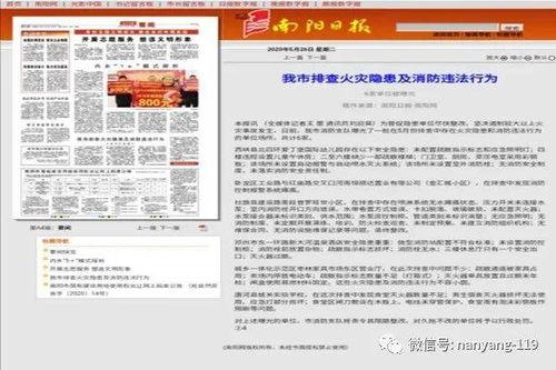 南阳爆料最新消息新闻,聚焦热点事件,揭秘背后真相