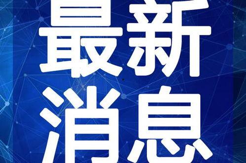 栾川美团爆料事件视频最新,视频揭露惊人内幕,真相令人震惊!