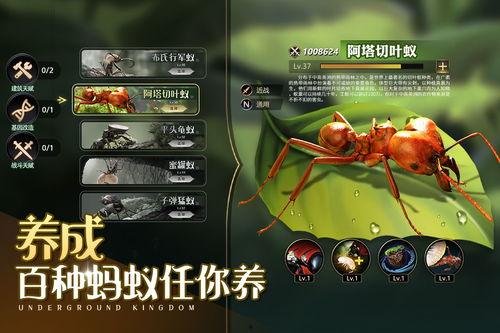 小小蚁国最新活动爆料,揭秘最新活动亮点与福利大放送!