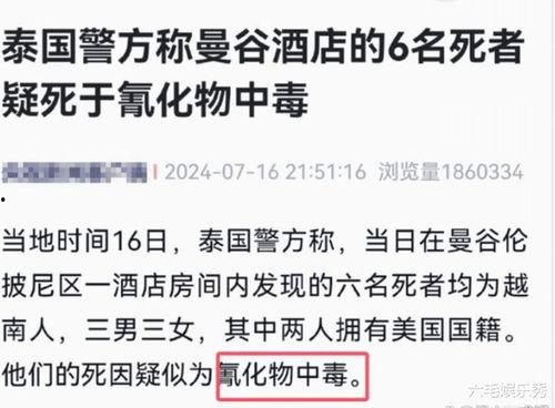 最新事件爆料完整版,独家爆料完整版深度解析
