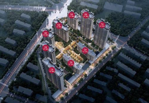 金樾府房价最新爆料,品质生活新标杆,投资自住两相宜!”