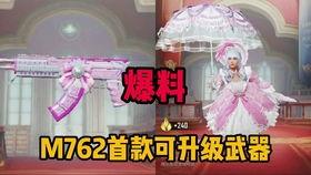 陈大白最新爆料,娱乐圈惊天内幕大曝光!